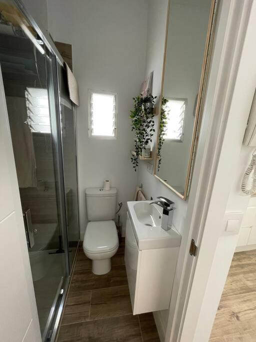 Апартаменты Atico Duplex Con Terraza En Pleno Centro De Jerez Херес-де-ла-Фронтера Экстерьер фото